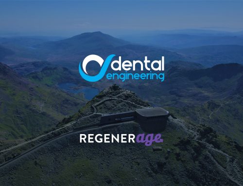 Dental Engineering Climb Snowdon in aid of Regenerage
